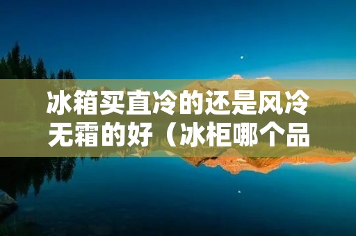 冰箱买直冷的还是风冷无霜的好(冰柜哪个品牌最耐用质量好)