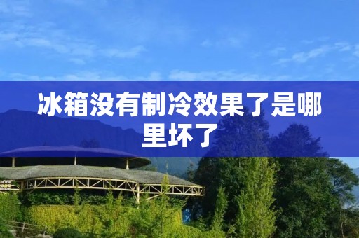 冰箱没有制冷效果了是哪里坏了