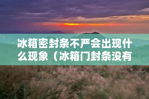 冰箱密封条不严会出现什么现象(冰箱门封条没有磁性怎么办)