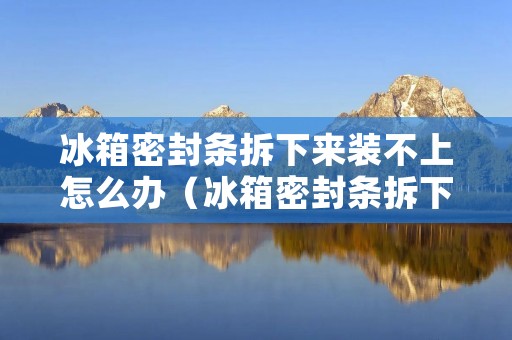冰箱密封条拆下来装不上怎么办(冰箱密封条拆下来装不上怎么办呢)