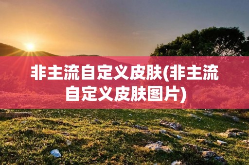 非主流自定义皮肤(非主流自定义皮肤图片) 非主流自定义皮肤(非主流自定义皮肤图片)