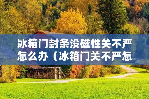 冰箱门封条没磁性关不严怎么办(冰箱门关不严怎么办?教你一妙招)