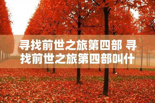 寻找前世之旅第四部 寻找前世之旅第四部叫什么 寻找前世之旅第四部 寻找前世之旅第四部叫什么