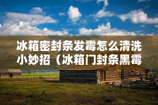 冰箱密封条发霉怎么清洗小妙招(冰箱门封条黑霉点怎么去除)