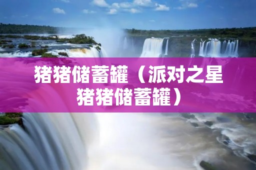 猪猪储蓄罐(派对之星猪猪储蓄罐) 猪猪储蓄罐(派对之星猪猪储蓄罐)