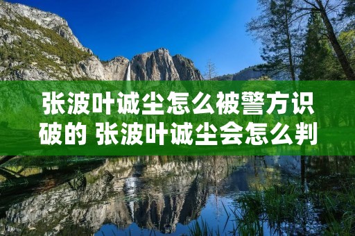 张波叶诚尘怎么被警方识破的 张波叶诚尘会怎么判 张波叶诚尘怎么被警方识破的 张波叶诚尘会怎么判