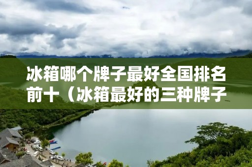 冰箱哪个牌子最好全国排名前十(冰箱最好的三种牌子)