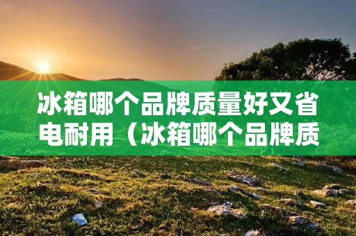 冰箱哪个品牌质量好又省电耐用(冰箱哪个品牌质量好又省电耐用又便宜)