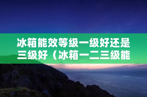 冰箱能效等级一级好还是三级好(冰箱一二三级能效哪个好)
