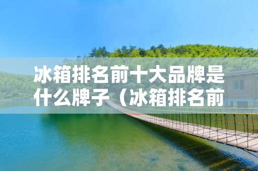 冰箱排名前十大品牌是什么牌子(冰箱排名前十大品牌是什么牌子图片)