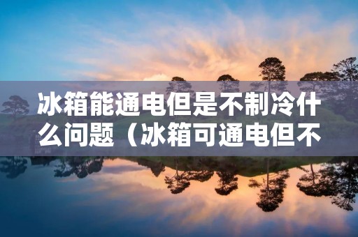 冰箱能通电但是不制冷什么问题(冰箱可通电但不制冷)
