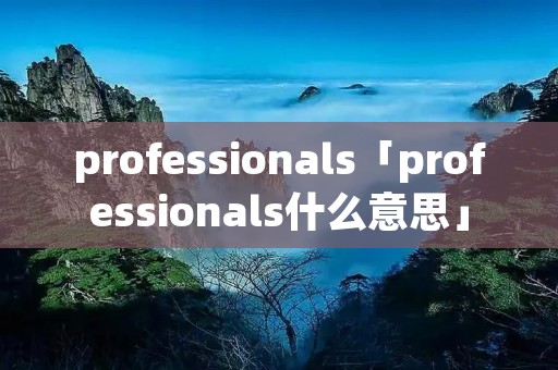professionals「professionals什么意思」