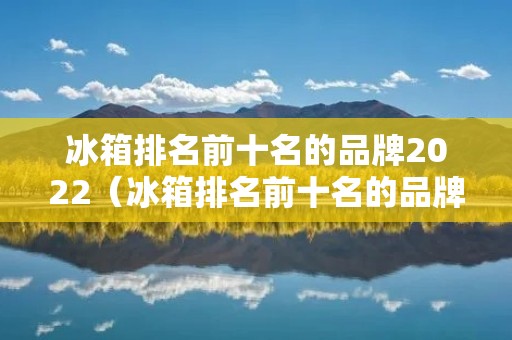 冰箱排名前十名的品牌2022(冰箱排名前十名的品牌有哪些牌子)