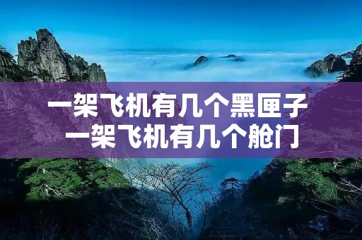 一架飞机有几个黑匣子 一架飞机有几个舱门