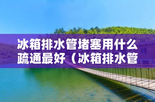 冰箱排水管堵塞用什么疏通最好(冰箱排水管堵住了怎么疏通)