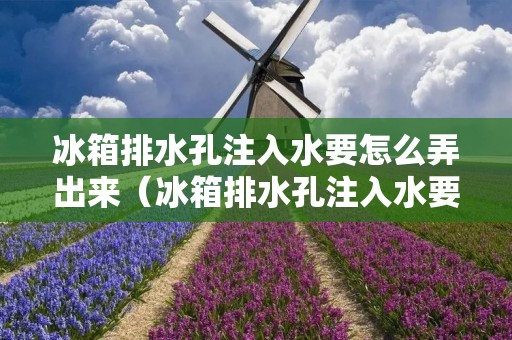 冰箱排水孔注入水要怎么弄出来(冰箱排水孔注入水要怎么弄出来视频)