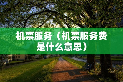 机票服务(机票服务费是什么意思) 机票服务(机票服务费是什么意思)