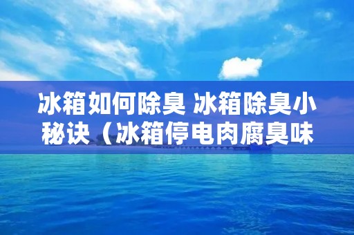 冰箱如何除臭 冰箱除臭小秘诀（冰箱停电肉腐臭味怎么去除）