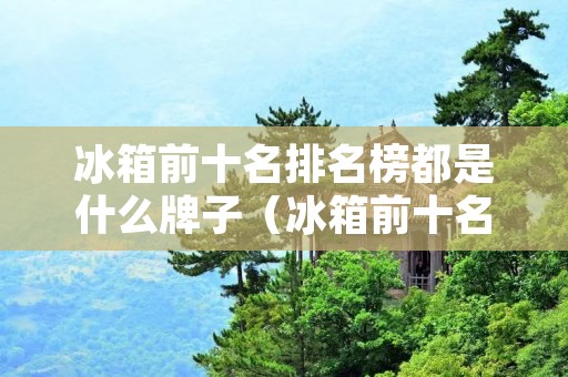 冰箱前十名排名榜都是什么牌子(冰箱前十名有哪些品牌)