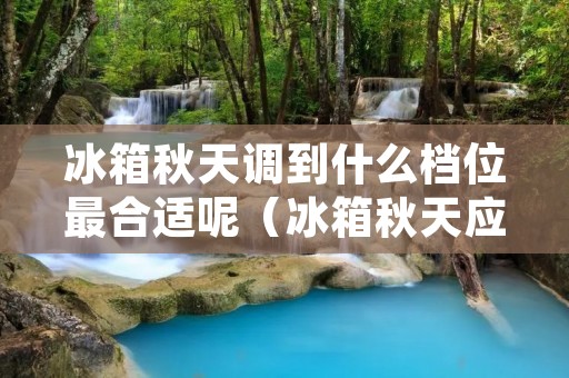 冰箱秋天调到什么档位最合适呢(冰箱秋天应该调到几档)