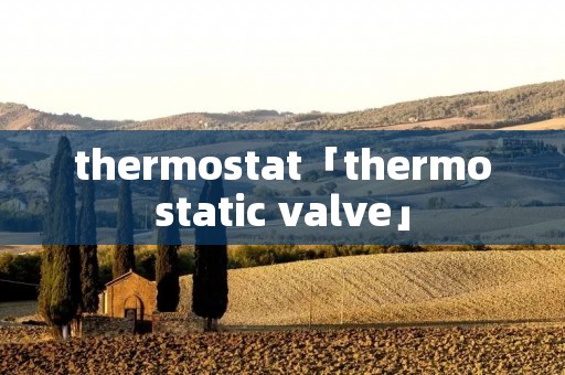 thermostat「thermostatic valve」
