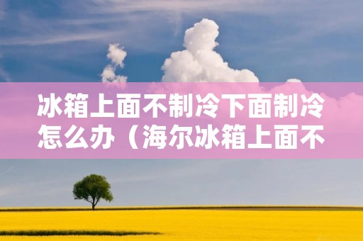 冰箱上面不制冷下面制冷怎么办（海尔冰箱上面不制冷下面制冷怎么办）