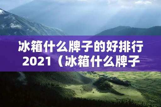 冰箱什么牌子的好排行2021（冰箱什么牌子的好排行榜）