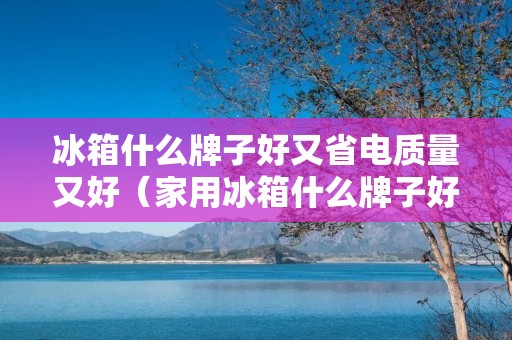 冰箱什么牌子好又省电质量又好（家用冰箱什么牌子好又省电质量又好）