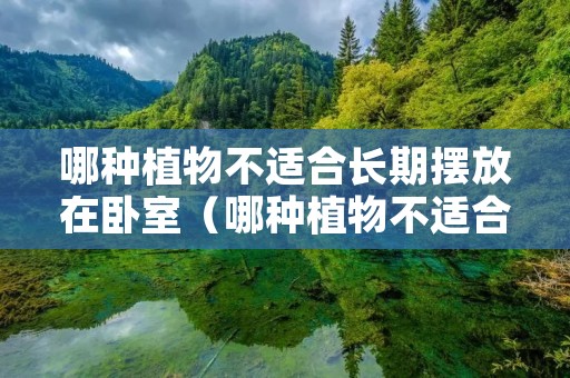 哪种植物不适合长期摆放在卧室(哪种植物不适合长期摆放在卧室里面) 哪种植物不适合长期摆放在卧室(哪种植物不适合长期摆放在卧室里面)