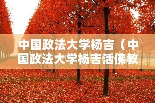 中国政法大学杨吉（中国政法大学杨吉活佛教授）