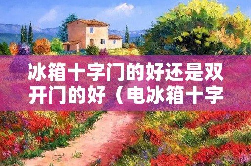冰箱十字门的好还是双开门的好（电冰箱十字门的好还是双开的好?）