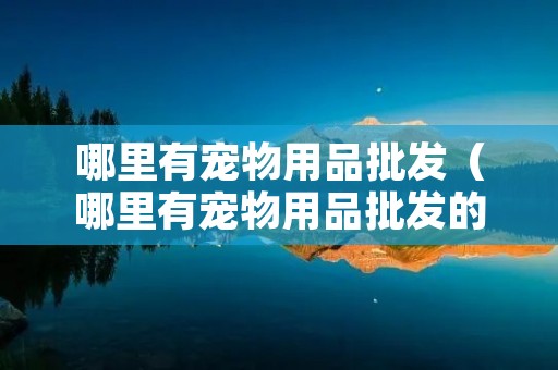 哪里有宠物用品批发（哪里有宠物用品批发的）