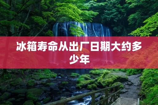 冰箱寿命从出厂日期大约多少年