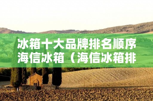 冰箱十大品牌排名顺序海信冰箱（海信冰箱排行）