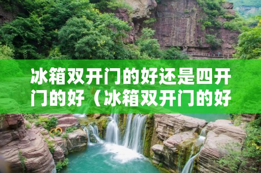 冰箱双开门的好还是四开门的好（冰箱双开门的好还是四开门的好看呢）