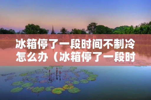 冰箱停了一段时间不制冷怎么办（冰箱停了一段时间不制冷怎么办视频）