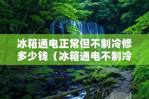 冰箱通电正常但不制冷修多少钱（冰箱通电不制冷怎么修）