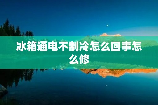 冰箱通电不制冷怎么回事怎么修