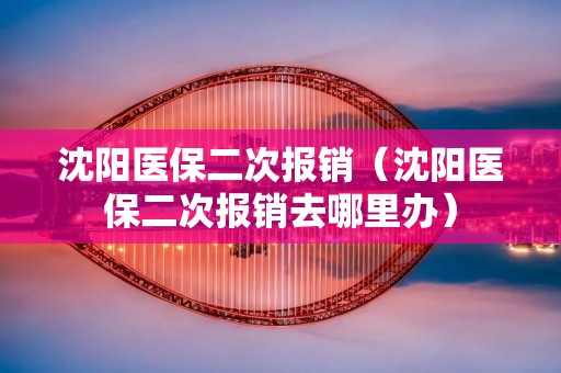 沈阳医保二次报销(沈阳医保二次报销去哪里办) 沈阳医保二次报销(沈阳医保二次报销去哪里办)