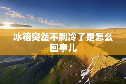 冰箱突然不制冷了是怎么回事儿