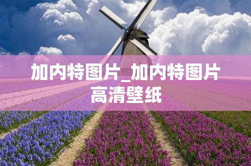 加内特图片_加内特图片高清壁纸