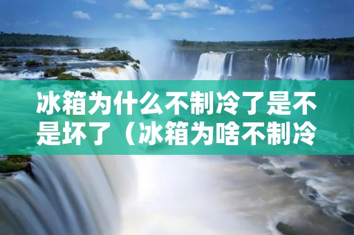 冰箱为什么不制冷了是不是坏了（冰箱为啥不制冷了）