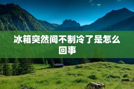 冰箱突然间不制冷了是怎么回事
