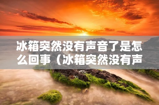 冰箱突然没有声音了是怎么回事（冰箱突然没有声音了是怎么回事啊）