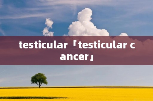 testicular「testicular cancer」