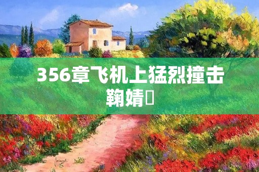 356章飞机上猛烈撞击鞠婧祎