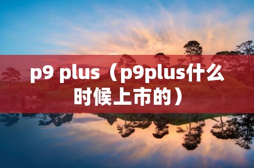 p9 plus(p9plus什么时候上市的) p9 plus(p9plus什么时候上市的)