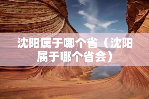 沈阳属于哪个省(沈阳属于哪个省会) 沈阳属于哪个省(沈阳属于哪个省会)