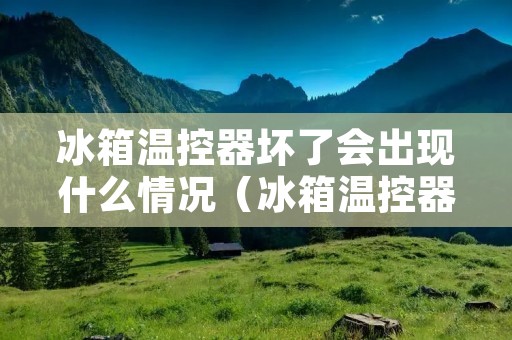 冰箱温控器坏了会出现什么情况(冰箱温控器坏了怎么修视频)