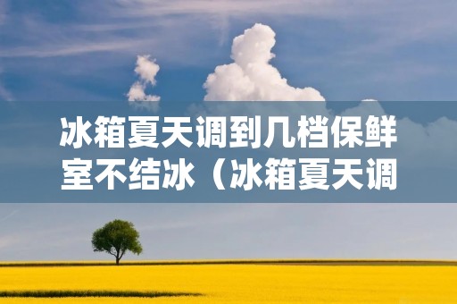 冰箱夏天调到几档保鲜室不结冰（冰箱夏天调到几档保鲜室不结冰怎么回事）